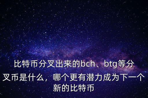 比特幣分叉出來的bch、btg等分叉幣是什么，哪個(gè)更有潛力成為下一個(gè)新的比特幣