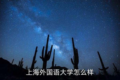 上海歐薩怎么樣,上海外國語大學(xué)怎么樣