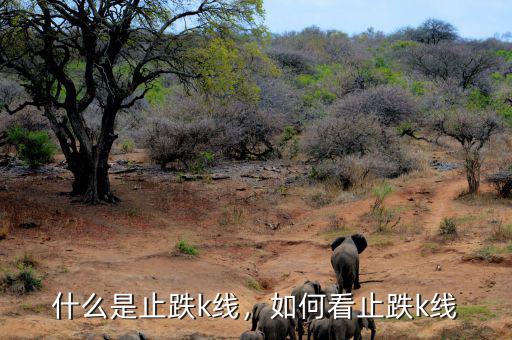 什么是止跌k線，如何看止跌k線