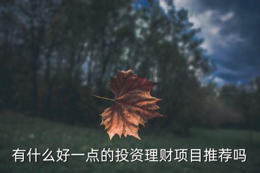 有什么好一點(diǎn)的投資理財(cái)項(xiàng)目推薦嗎