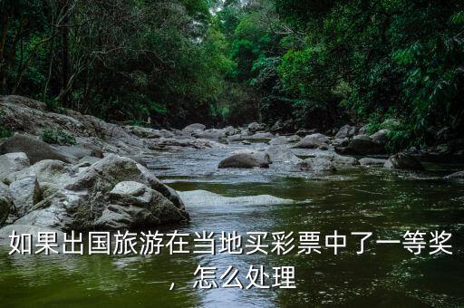 如果出國旅游在當(dāng)?shù)刭I彩票中了一等獎，怎么處理