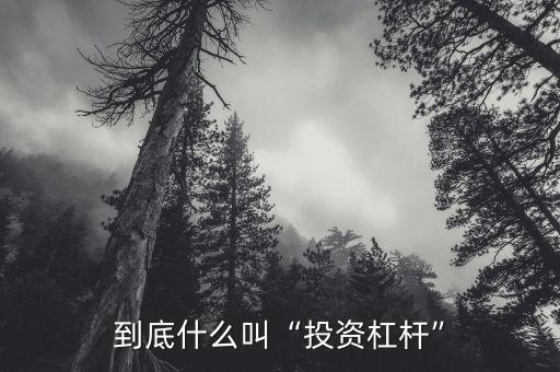 到底什么叫“投資杠桿”