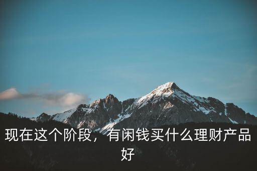 現(xiàn)在這個階段，有閑錢買什么理財產(chǎn)品好