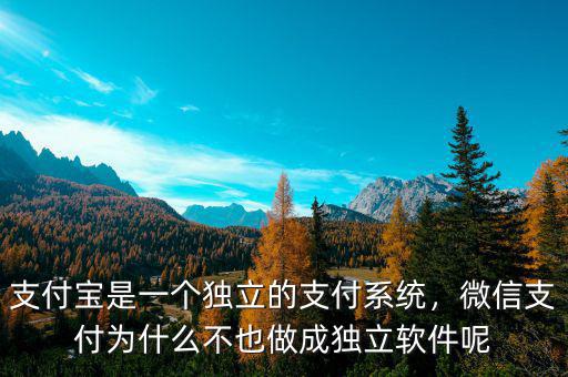 支付寶是一個(gè)獨(dú)立的支付系統(tǒng)，微信支付為什么不也做成獨(dú)立軟件呢