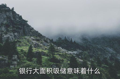 銀行高息攬存又叫什么,銀行大面積吸儲(chǔ)意味著什么