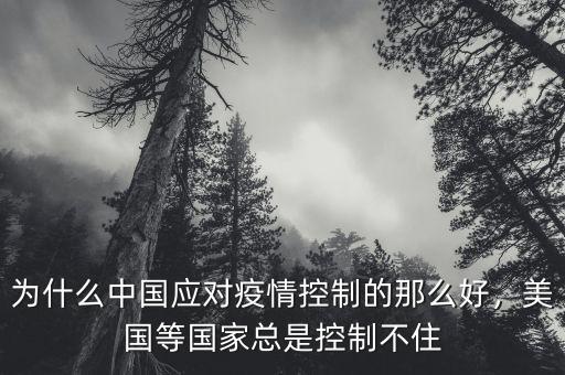 為什么中國應(yīng)對疫情控制的那么好，美國等國家總是控制不住