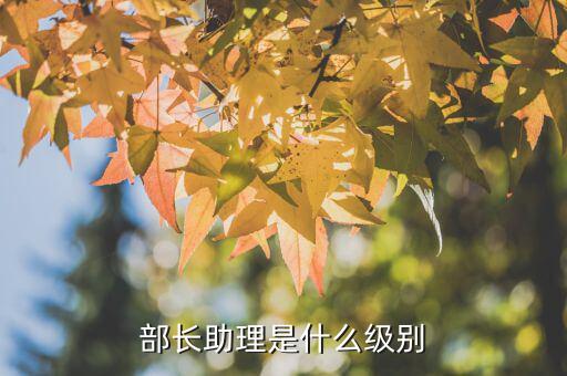 部長(zhǎng)助理是什么級(jí)別