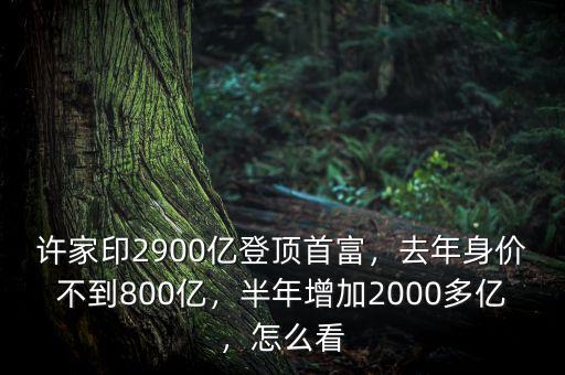 許家印2900億登頂首富，去年身價(jià)不到800億，半年增加2000多億，怎么看