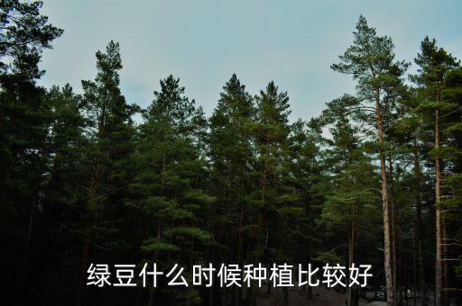 綠豆什么時(shí)候種植比較好