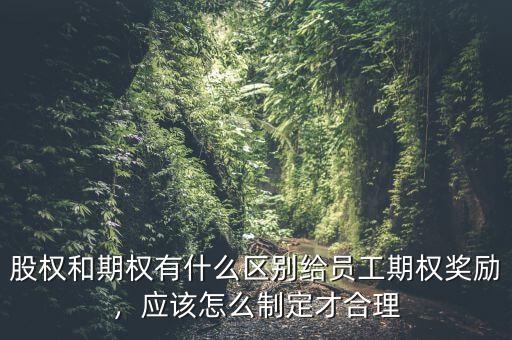 期權(quán)激勵(lì)是什么意思,給員工期權(quán)獎(jiǎng)勵(lì)