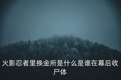 仟金所是什么,是誰(shuí)在幕后收尸體