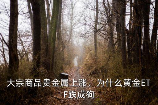 為什么說(shuō)跌成狗,為什么黃金ETF跌成狗