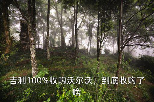 吉利100%收購沃爾沃，到底收購了啥