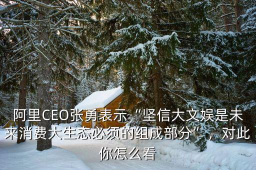 阿里CEO張勇表示“堅信大文娛是未來消費大生態(tài)必須的組成部分”，對此你怎么看