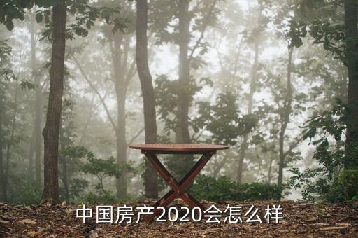 中國房產(chǎn)2020會怎么樣