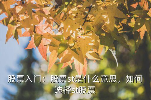 股票入門：股票st是什么意思，如何選擇st股票