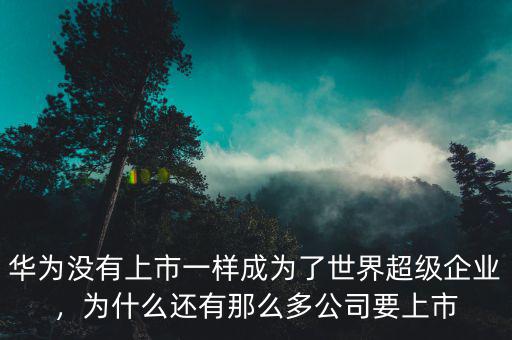 華為沒有上市一樣成為了世界超級(jí)企業(yè)，為什么還有那么多公司要上市