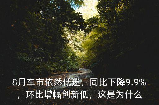 8月車市依然低迷，同比下降9.9%，環(huán)比增幅創(chuàng)新低，這是為什么