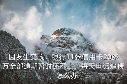 因發(fā)生變故，銀行11張信用卡20多萬全部逾期暫時還不上，每天電話追債，怎么辦