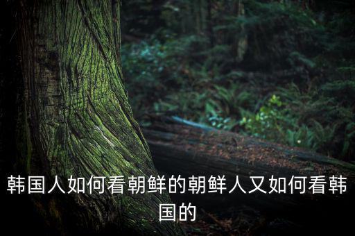 韓國的基礎(chǔ)設(shè)施怎么樣,真實的韓國生活是怎樣的