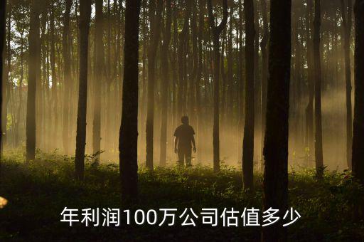 年利潤100萬公司估值多少