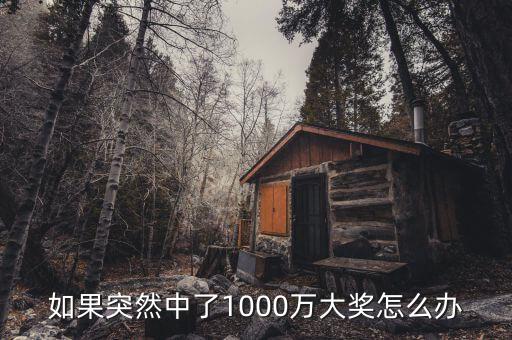 如果突然中了1000萬大獎怎么辦