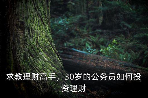 適合30歲怎么理財(cái),30歲的公務(wù)員如何投資理財(cái)