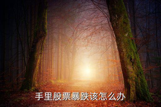 股票崩盤(pán)怎么辦,手里股票該怎么辦