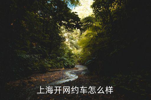 上海嘉懿怎么樣,上海開(kāi)網(wǎng)約車怎么樣