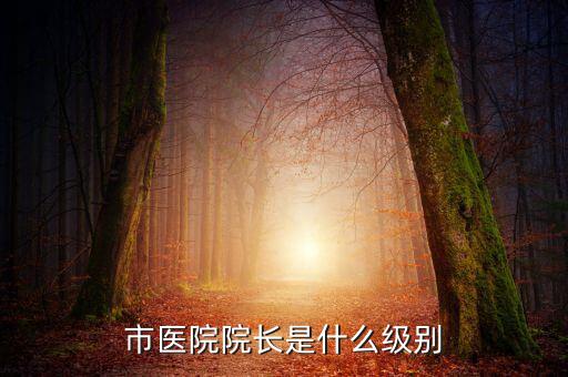 宋志平什么級(jí)別,監(jiān)獄長(zhǎng)是什么級(jí)別