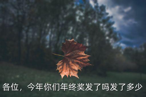 各位，今年你們年終獎(jiǎng)發(fā)了嗎發(fā)了多少