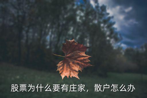 股票為什么要有莊家，散戶怎么辦