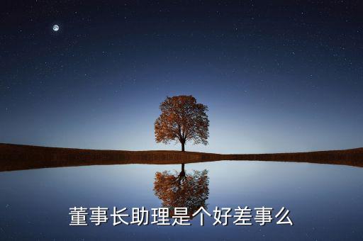 商務(wù)部部長(zhǎng)助理是什么級(jí)別,主任助理是什么職務(wù)