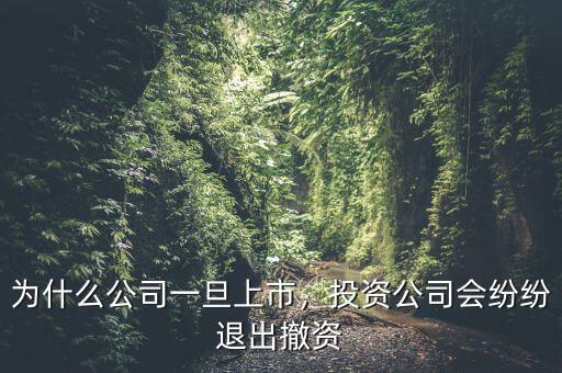 為什么資本要退出,為什么要防止資本外流