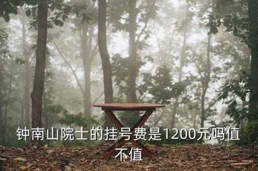 鐘南山院士的掛號(hào)費(fèi)是1200元嗎值不值