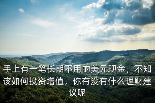 手上有一筆長(zhǎng)期不用的美元現(xiàn)金，不知該如何投資增值，你有沒有什么理財(cái)建議呢