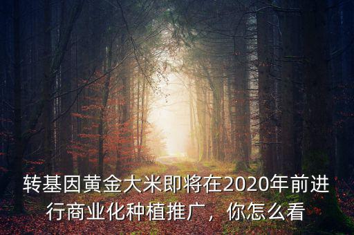 轉(zhuǎn)基因黃金大米即將在2020年前進(jìn)行商業(yè)化種植推廣，你怎么看