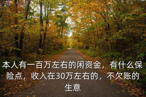 本人有一百萬左右的閑資金，有什么保險點，收入在30萬左右的，不欠賬的生意