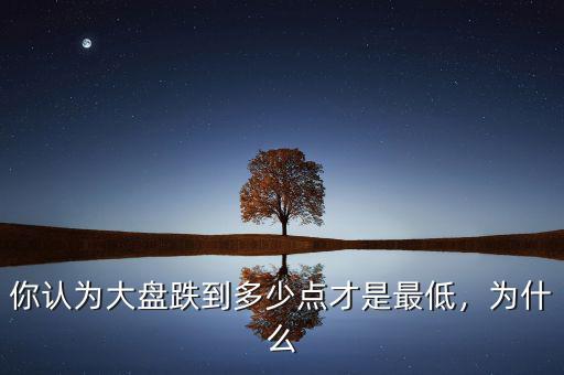 你認(rèn)為大盤跌到多少點(diǎn)才是最低，為什么