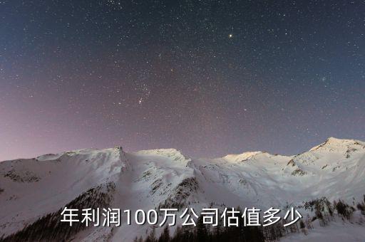 用戶數(shù)100萬估值多少,年利潤100萬公司估值多少