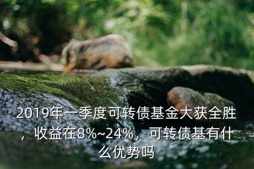 2019年一季度可轉(zhuǎn)債基金大獲全勝，收益在8%~24%，可轉(zhuǎn)債基有什么優(yōu)勢嗎