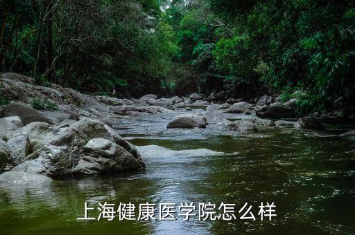 上海健康醫(yī)學(xué)院怎么樣