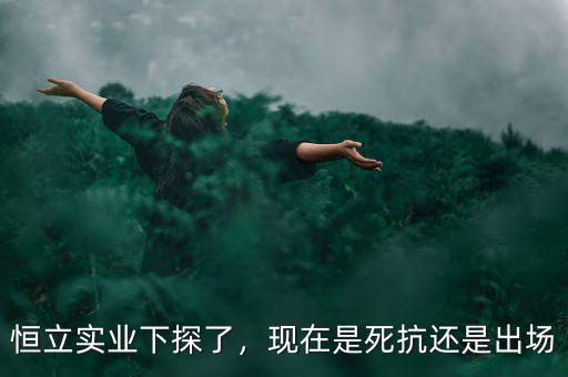 恒立實(shí)業(yè)下探了，現(xiàn)在是死抗還是出場