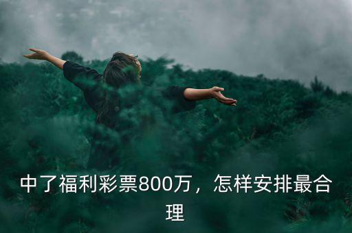 中了福利彩票800萬，怎樣安排最合理