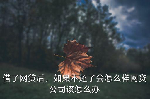 借了網(wǎng)貸后，如果不還了會怎么樣網(wǎng)貸公司該怎么辦