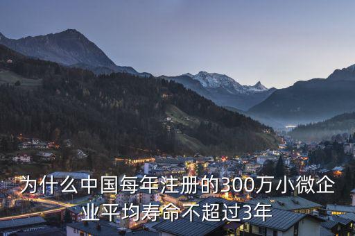 為什么中國(guó)每年注冊(cè)的300萬小微企業(yè)平均壽命不超過3年