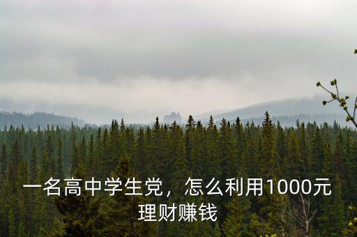 1000元怎么理財(cái),1000元理財(cái)投資怎么做