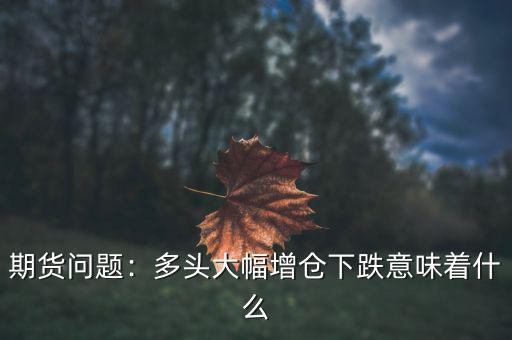 多頭增倉(cāng)是什么意思,多頭大幅增倉(cāng)下跌意味著什么