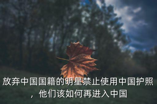 放棄中國國籍的明星禁止使用中國護照，他們該如何再進入中國