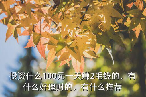 投資什么100元一天賺2毛錢的，有什么好理財?shù)模惺裁赐扑]